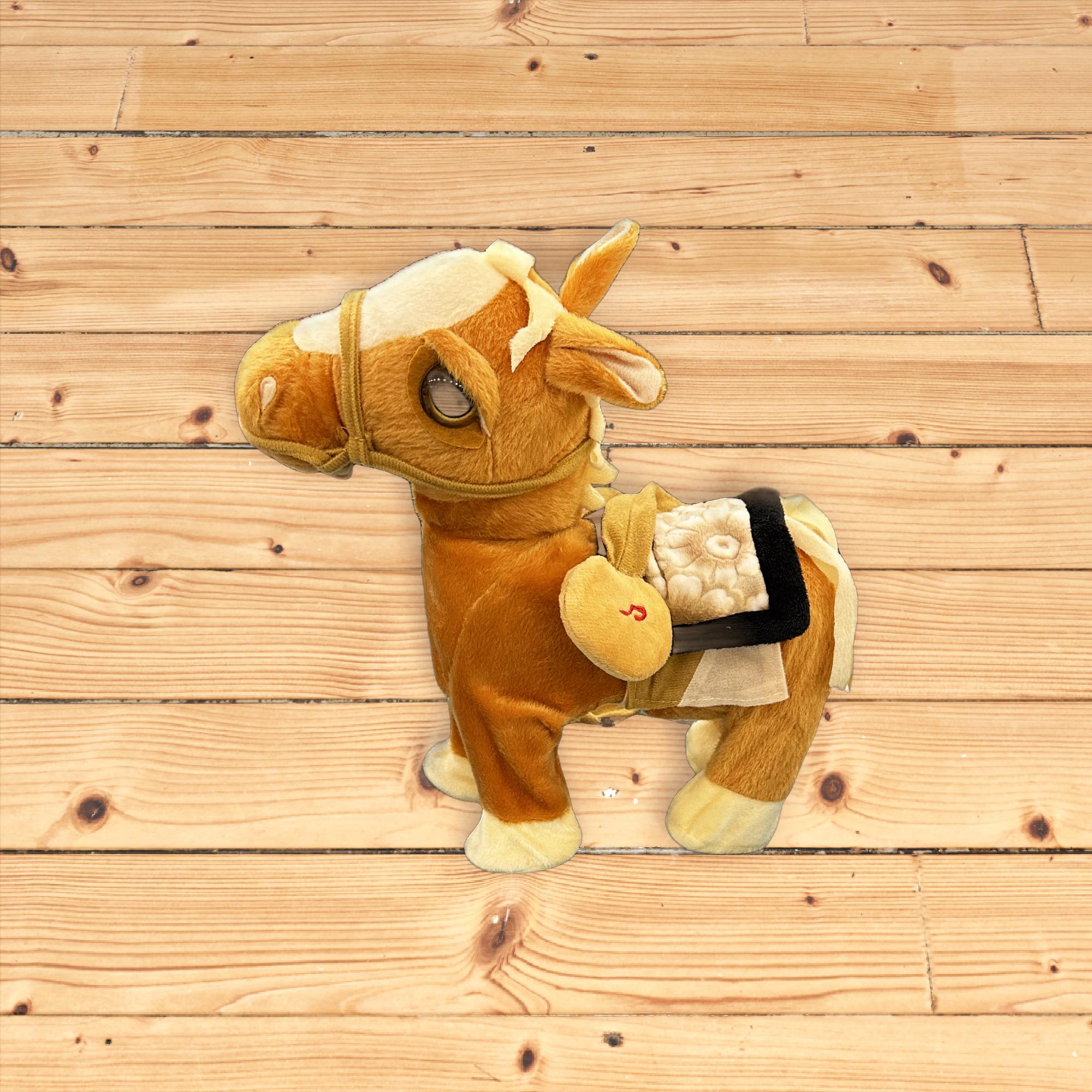 Walking Horse on Leash